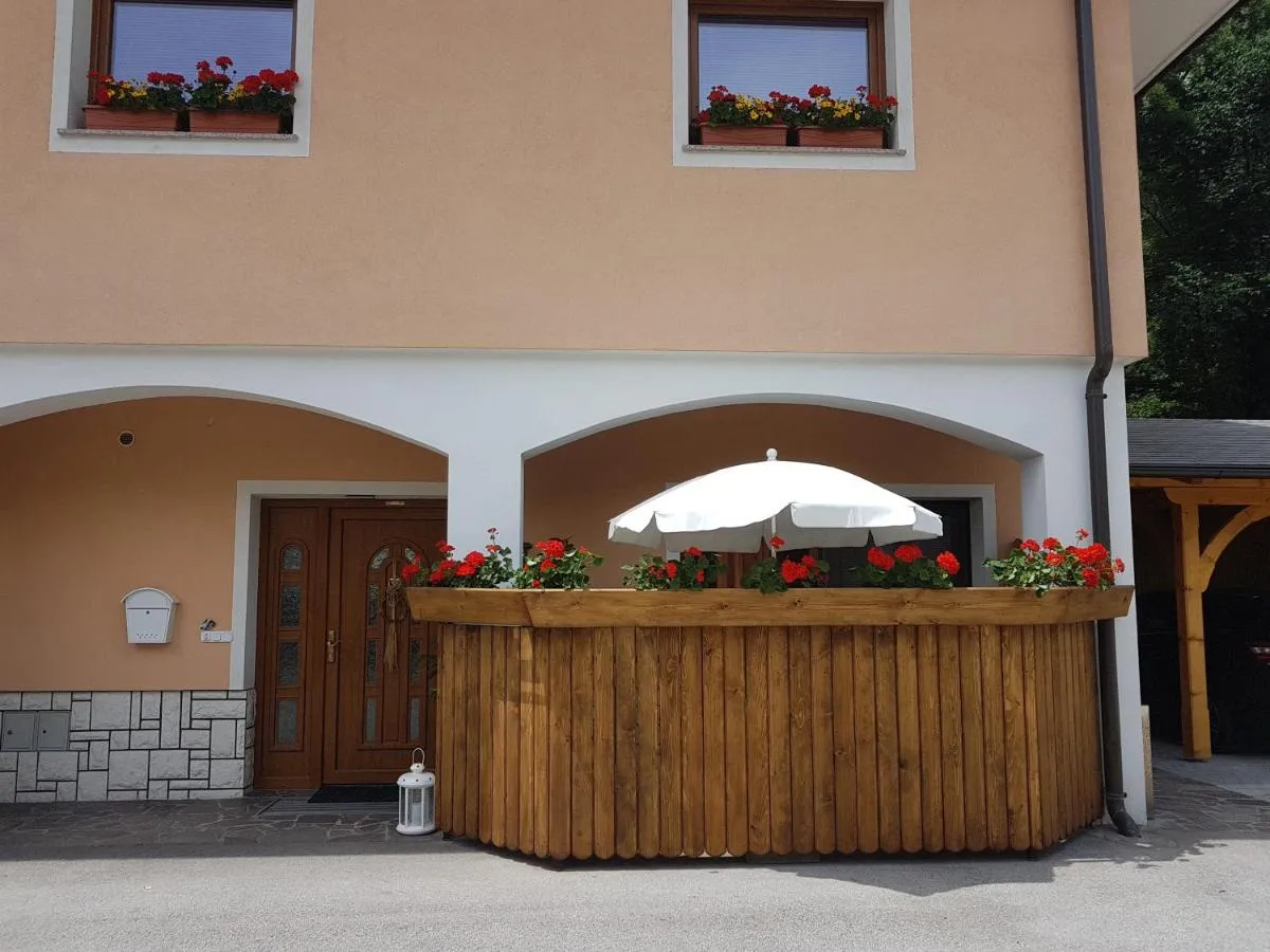 Vhod v apartma s cvetličnim koritom