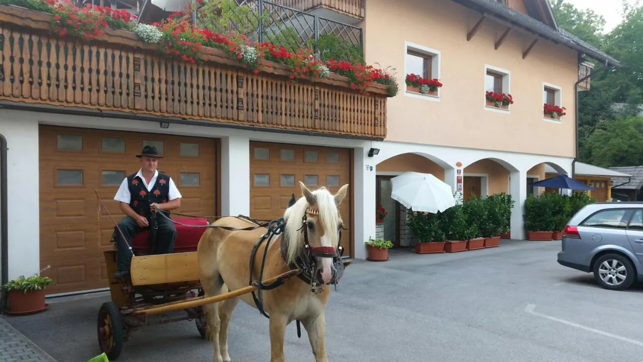 Kočija s konjem pred našo hišo