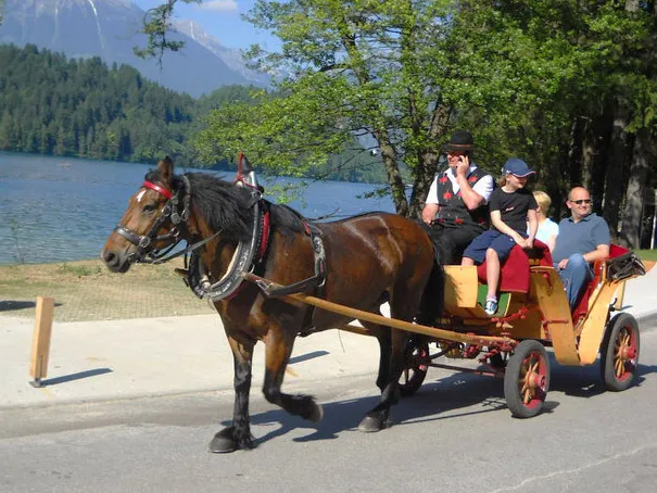 Kočija z gosti ob Blejskem jezeru